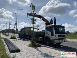Đại lý Thép Hòa Phát tại Phú Yên