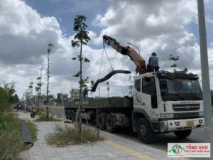 Đại lý Thép Hòa Phát tại Quận Phú Nhuận