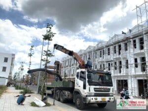 Đại lý Thép Hòa Phát tại Quận Tân Bình