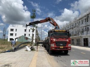 Đại lý Thép Hòa Phát tại Trà Vinh