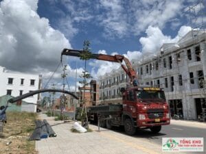Đại lý Thép Hòa Phát tại Vĩnh Long